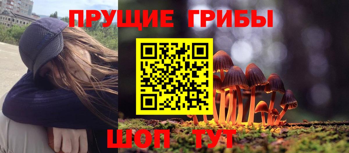 Псилоцибиновые грибы MAGIC MUSHROOMS  Вход с VPN  Шатура 